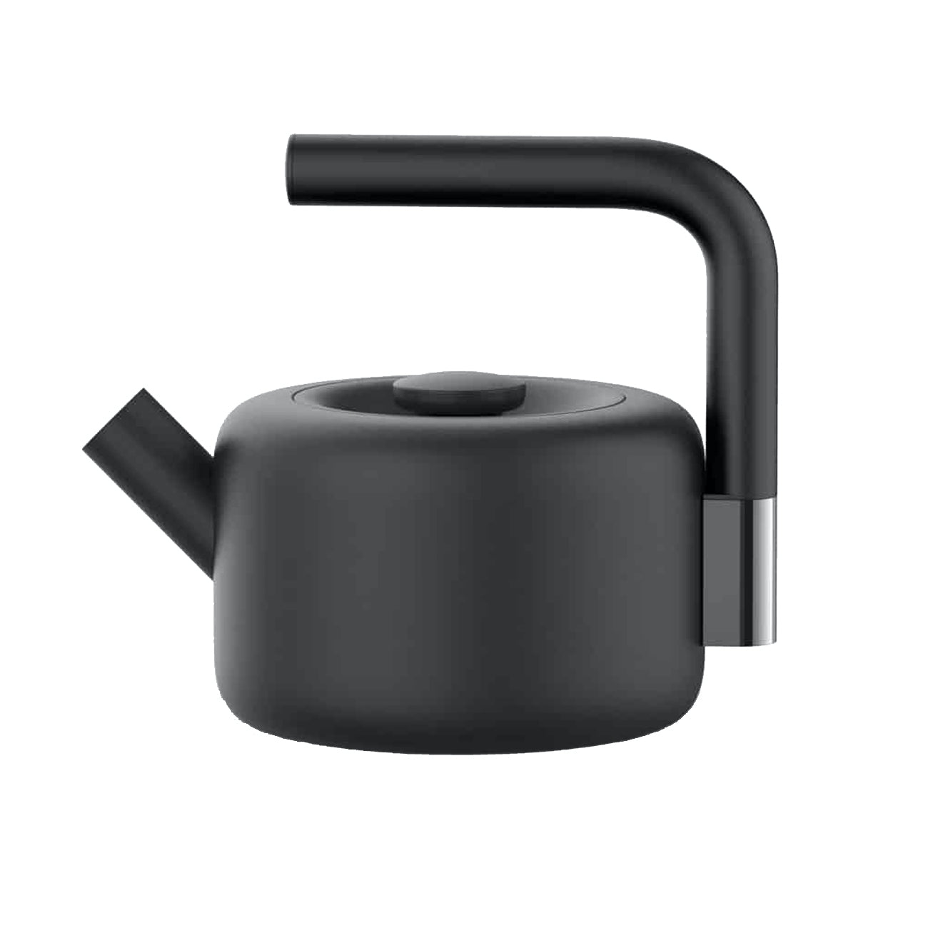 Clyde Stovetop Tea Kettle tetera