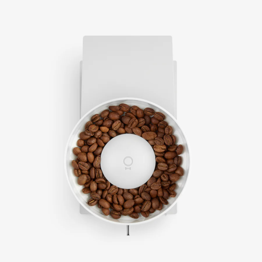 Opus Conical Burr Grinder molino eléctrico de café